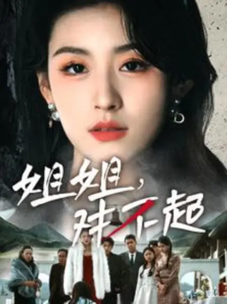 姐姐对不起 海报
