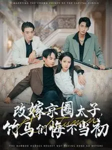 《改嫁京圈太子竹马们悔不当初》：一场豪门爱恨纠葛，破镜能否重圆？
